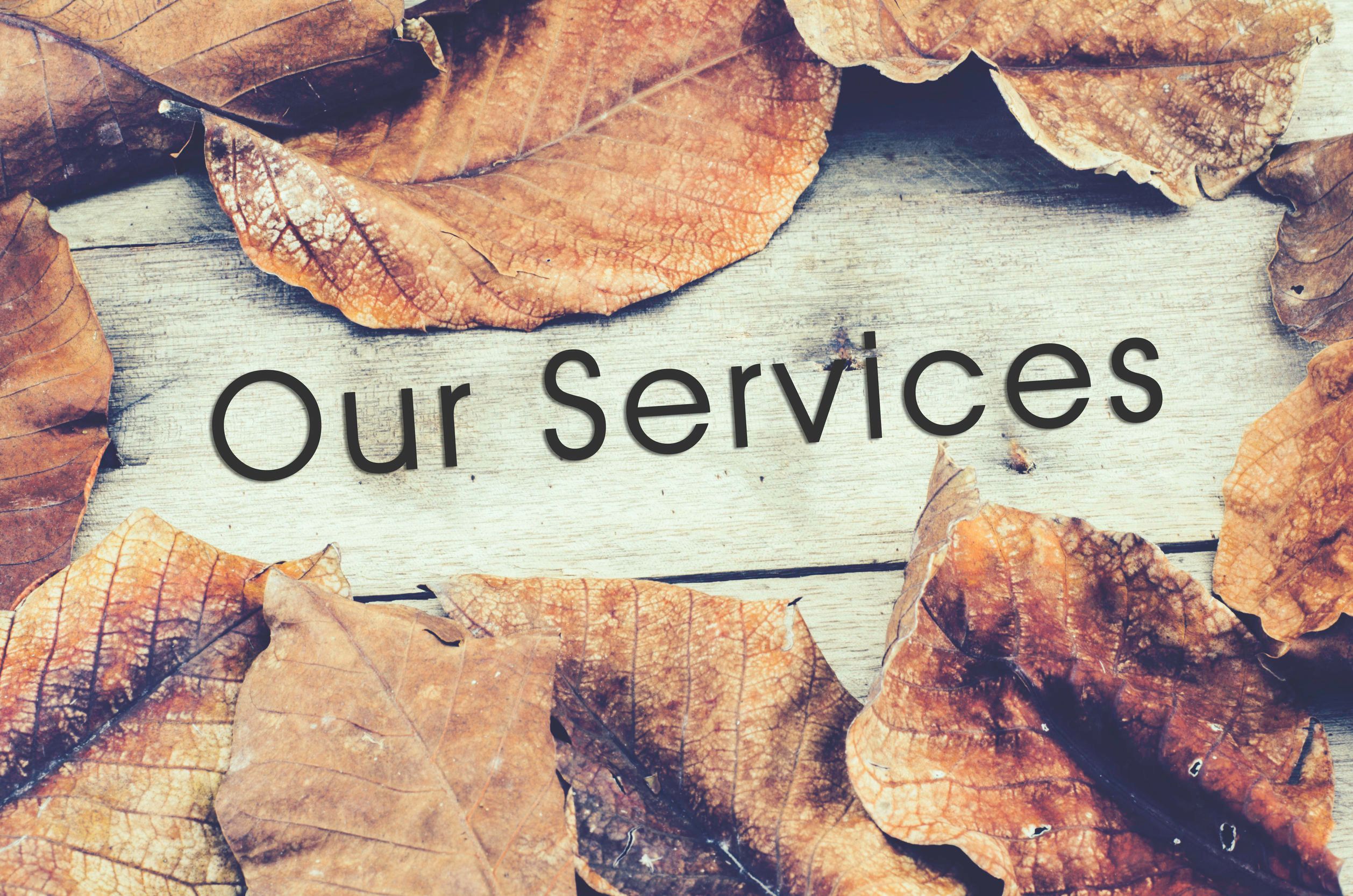 An image with the text our services