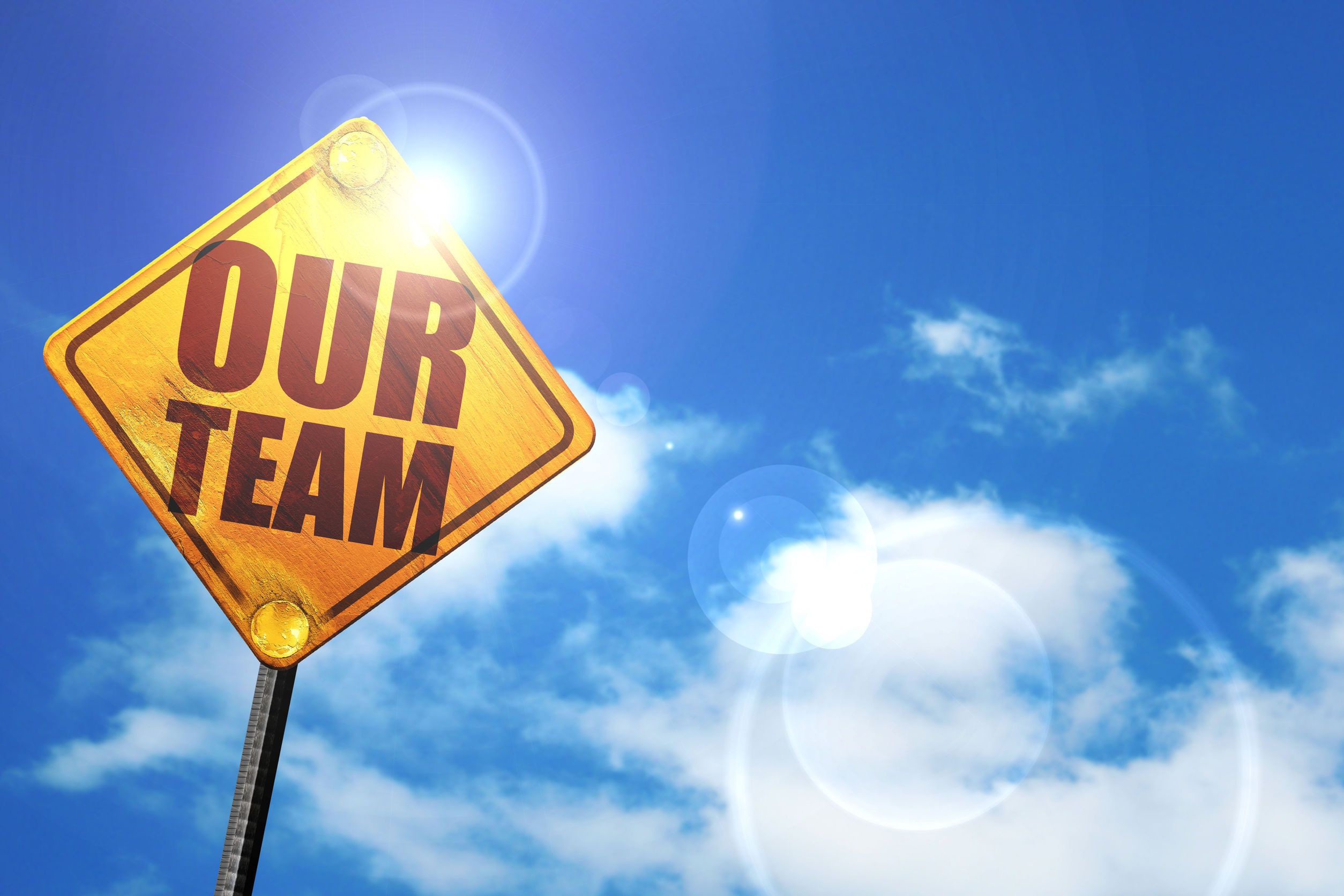 An image with the word our team